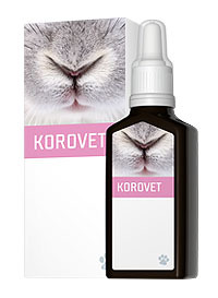 Energy Korovet 30 ml