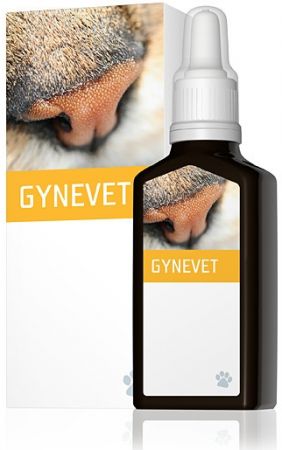 Energy Gynevet 30 ml