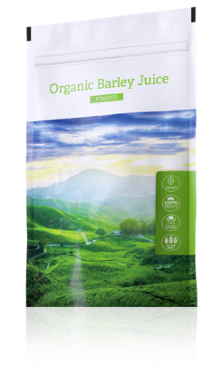 Fotografie Energy Organic Barley Juice Powder