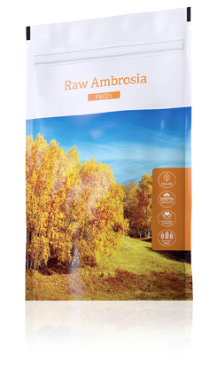 ENERGY Raw Ambrosia pieces 100 g